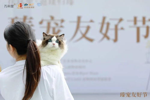 臻寵友好節(jié)圓滿落幕 醫(yī)療美容服務(wù)引領(lǐng)寵物健康新風(fēng)尚